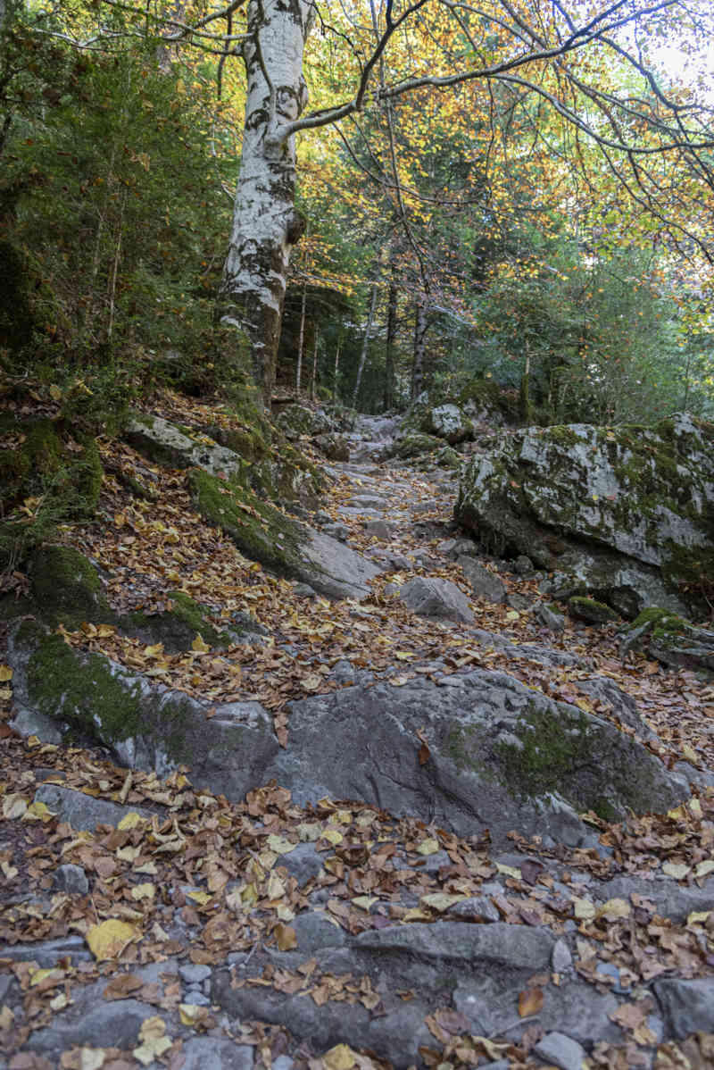 Huesca - parque nacional de Ordesa y Monte Perdido - valle de Añisclo 66 - cañon de Añisclo - sendero.jpg